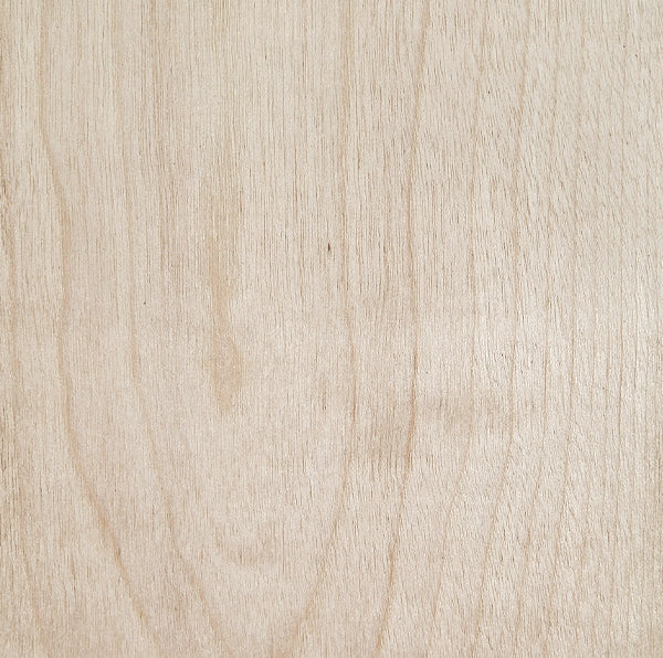 Birch Wood