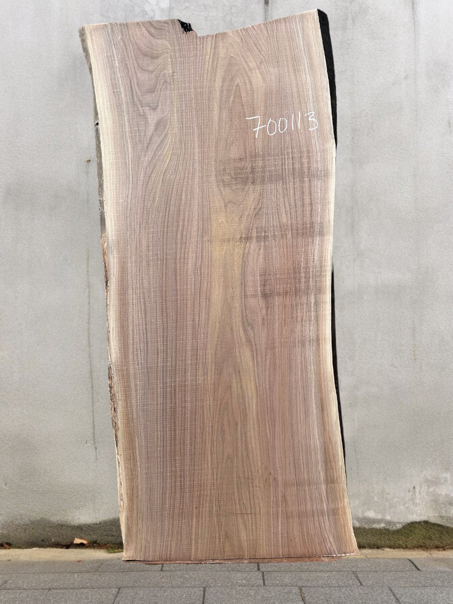 Walnut #700113