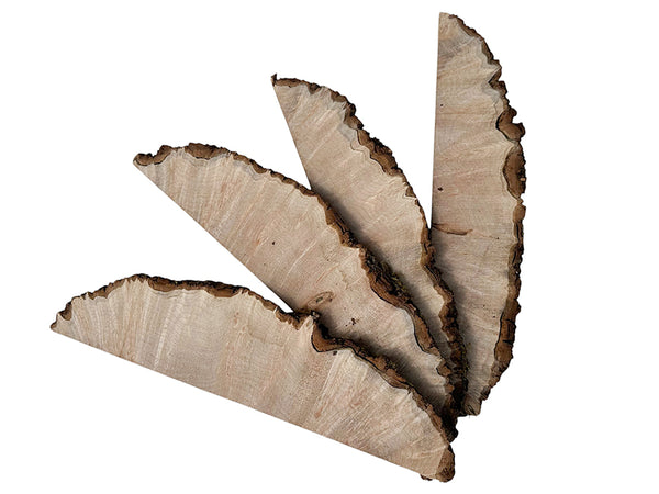 Big Leaf Maple Burl Slices Pack 