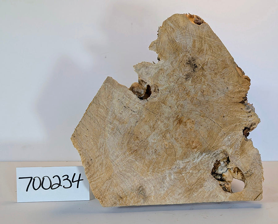 Maple Burl #700234