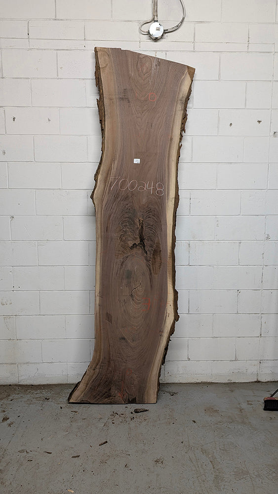 Walnut #700248