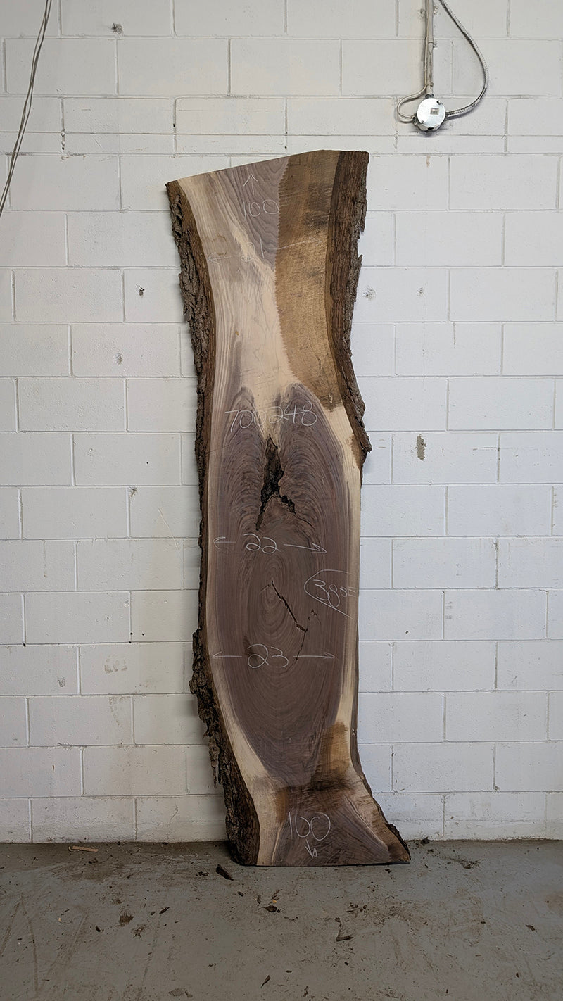 Walnut #700248
