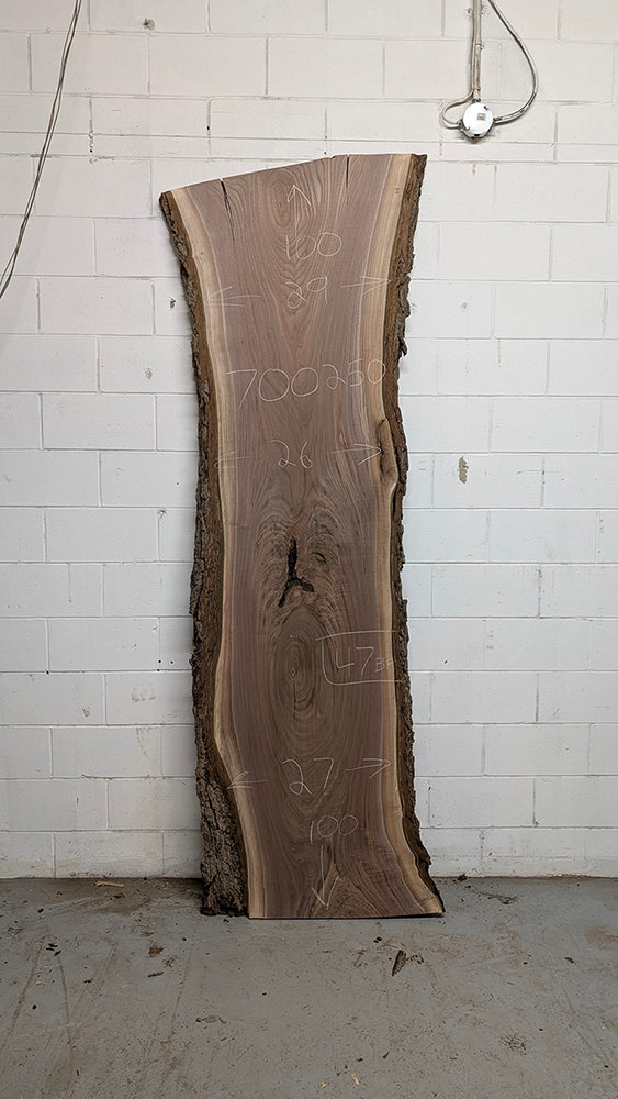 Walnut #700250