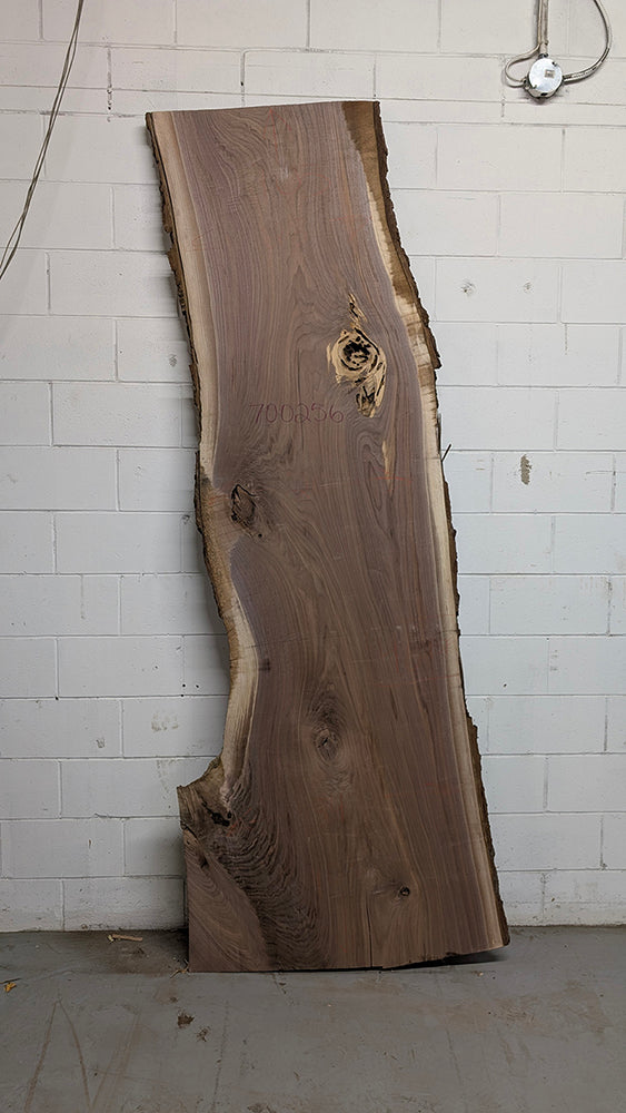 Walnut #700256