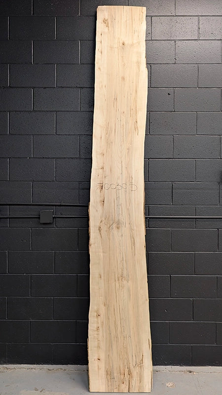 Maple #700305