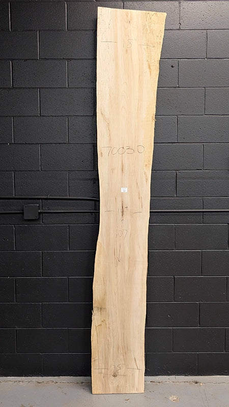 Maple #700310