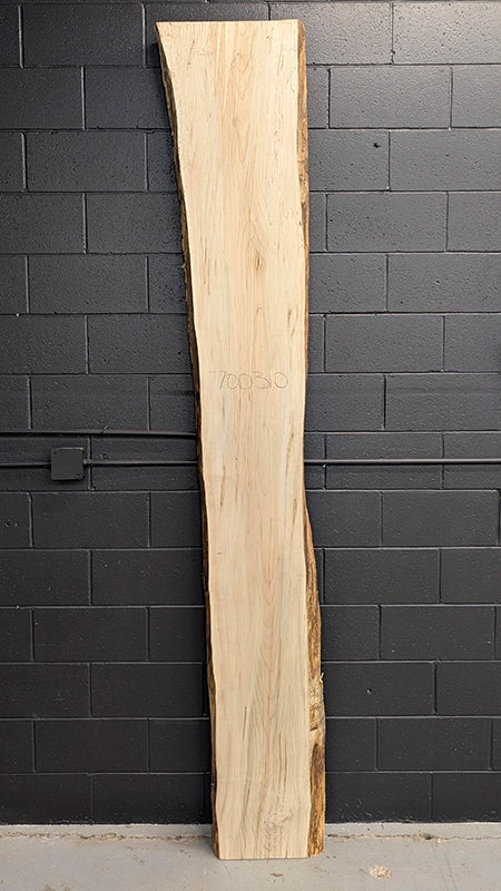 Maple #700310