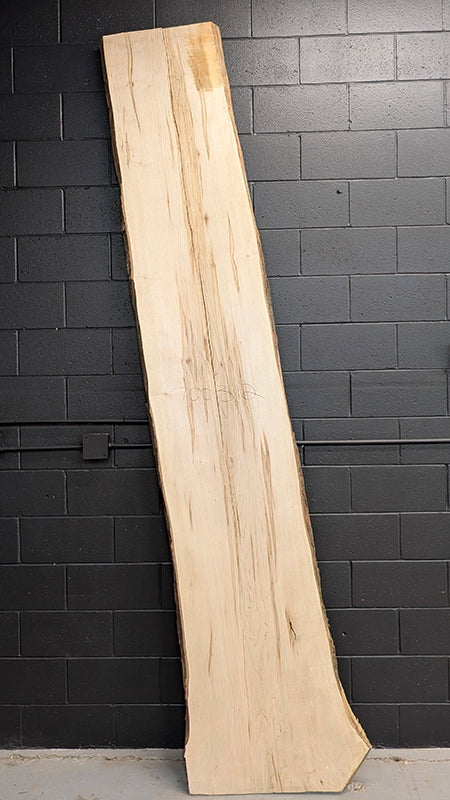 Maple #700312