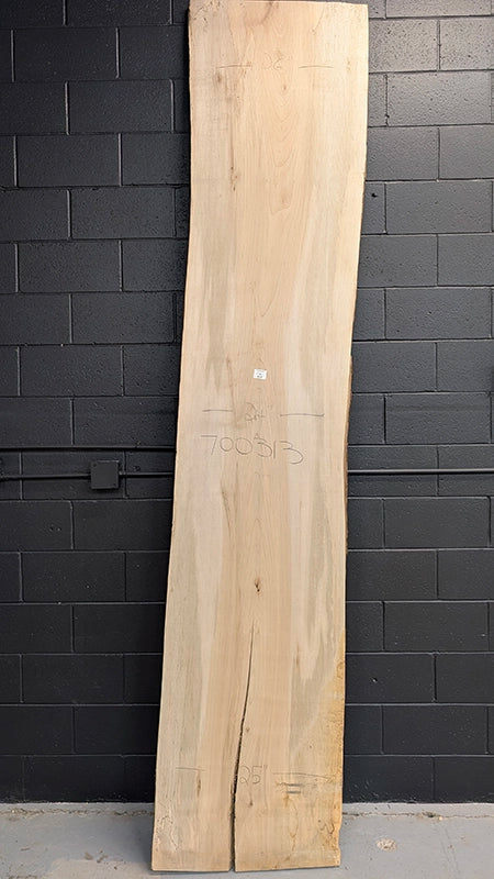 Maple #700313