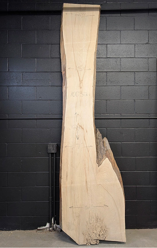 Maple #700321
