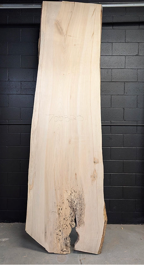 Maple #700325