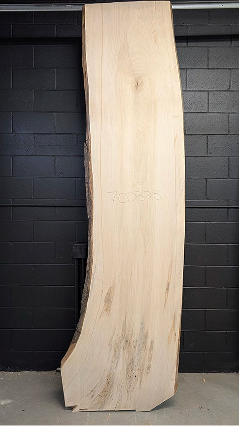 Maple #700328