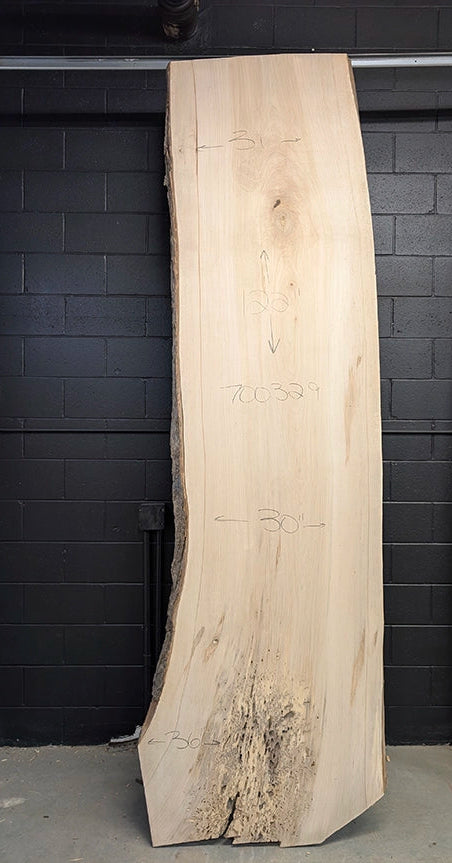 Maple #700329