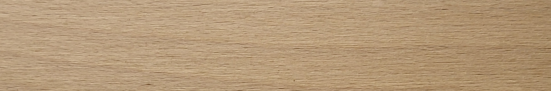 European Beech wood grain