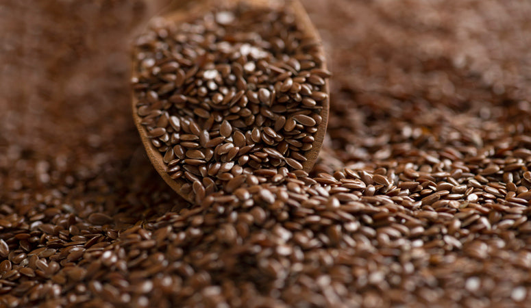 boiled linseed flax