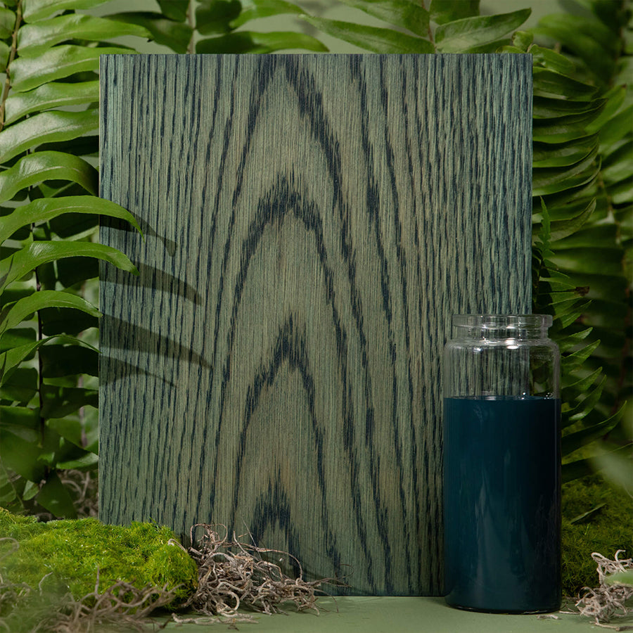 Rubio Fern