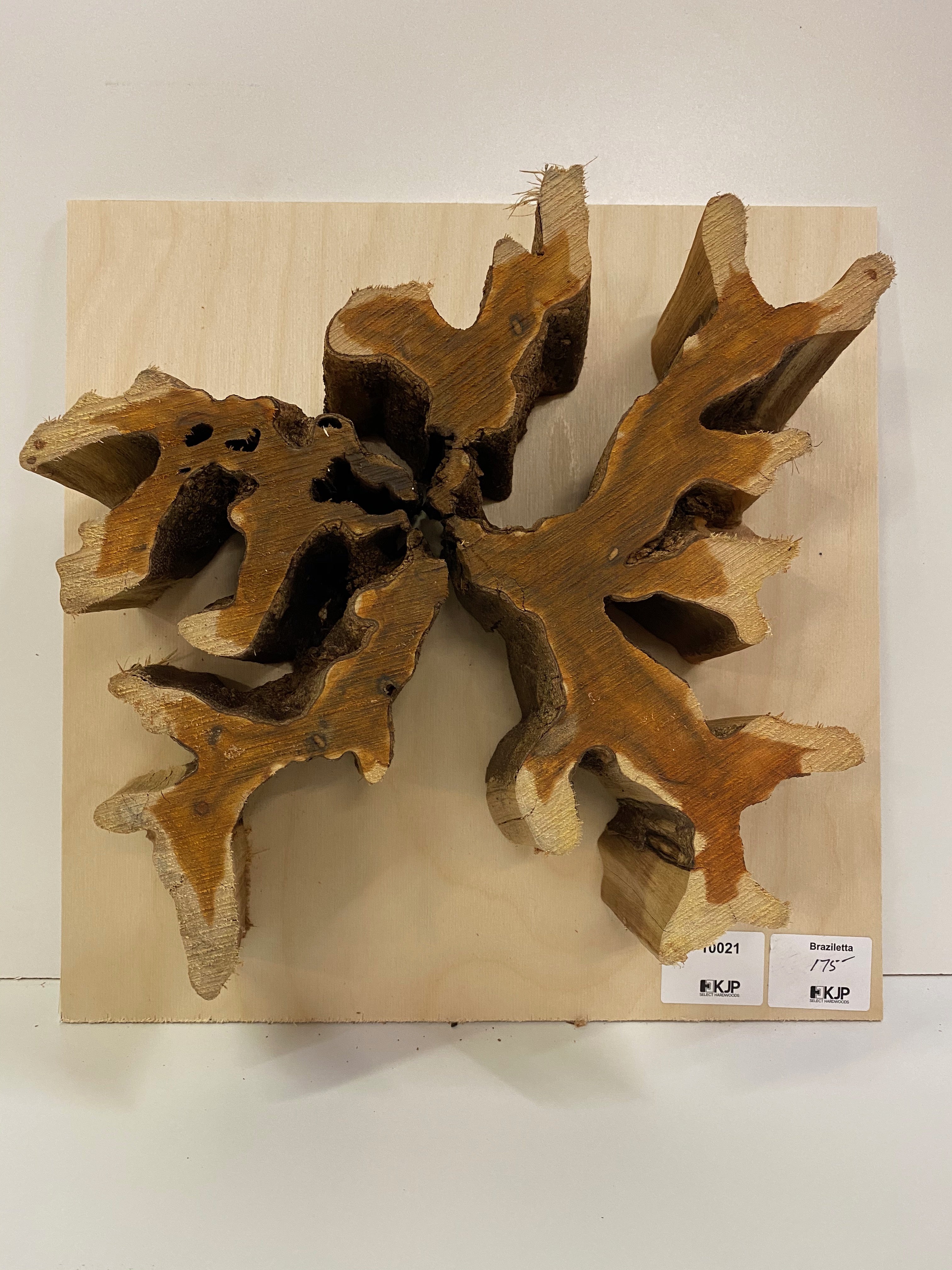 Brasiletta Slice - 3" x 11" x 14"