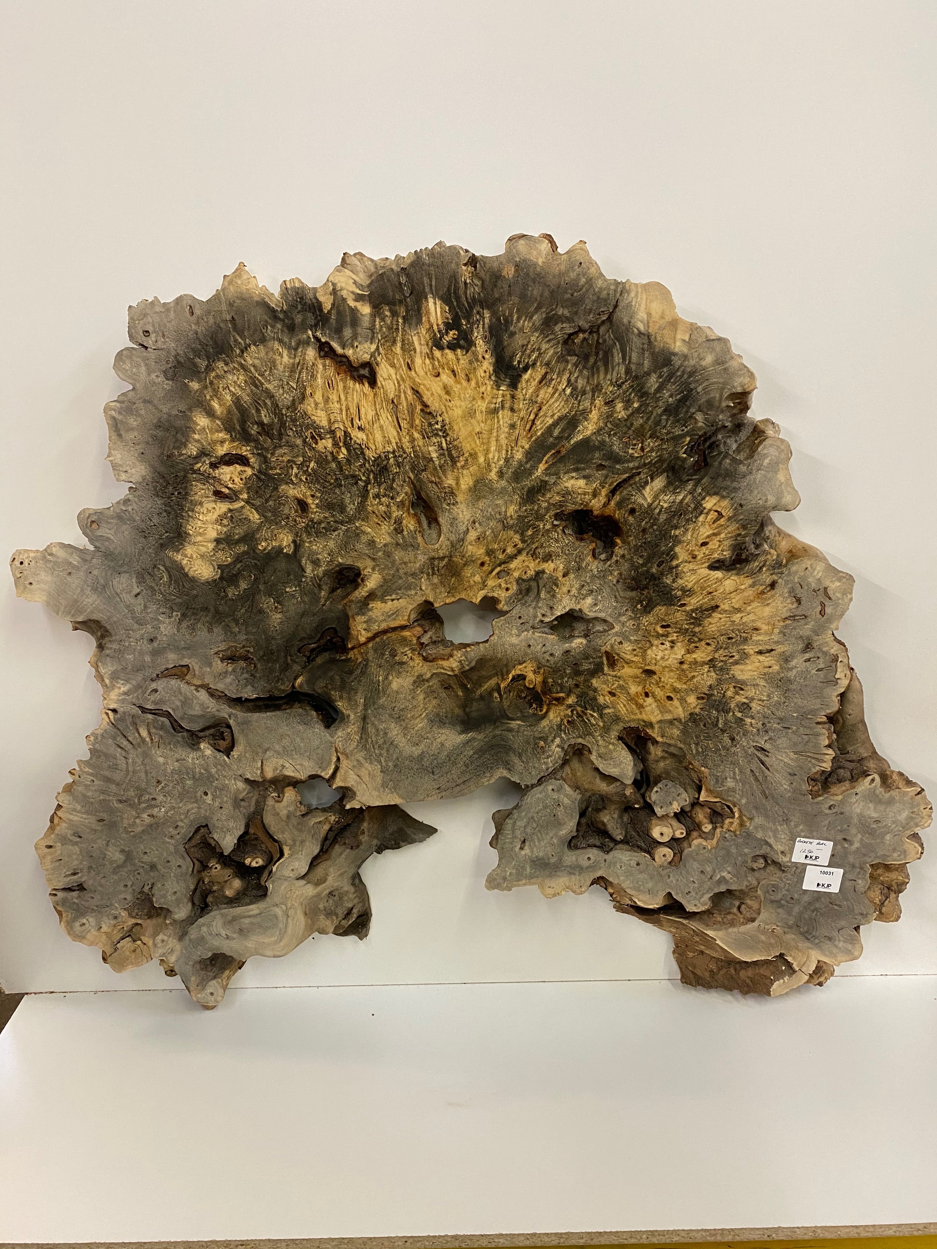 Buckeye Burl Slab - 2-1/4" x 41" x 45"