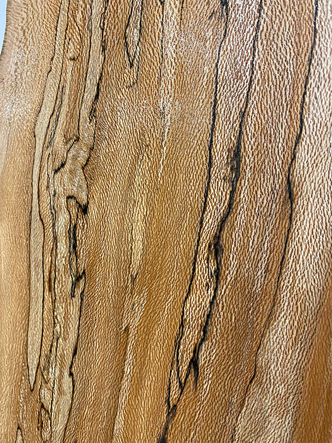 Spalted Sycamore