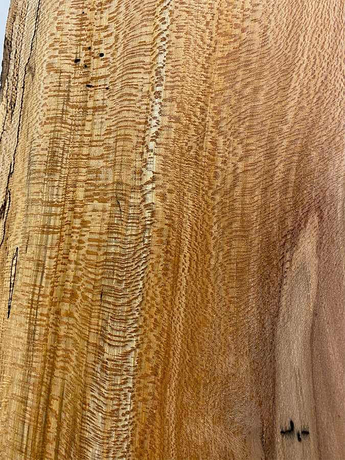 Spalted Sycamore
