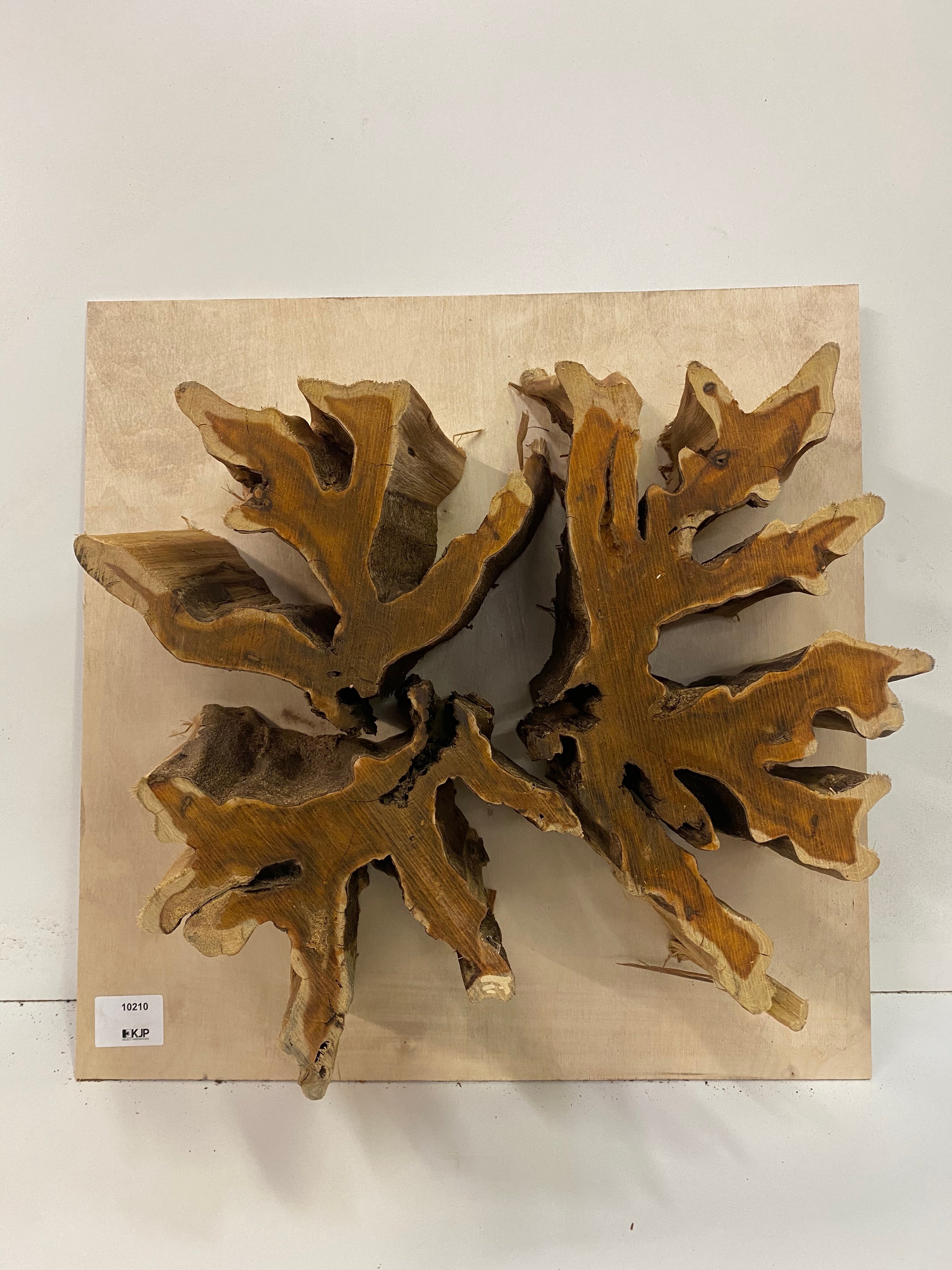 Brasiletta Slice - 6" x 18" x 16"