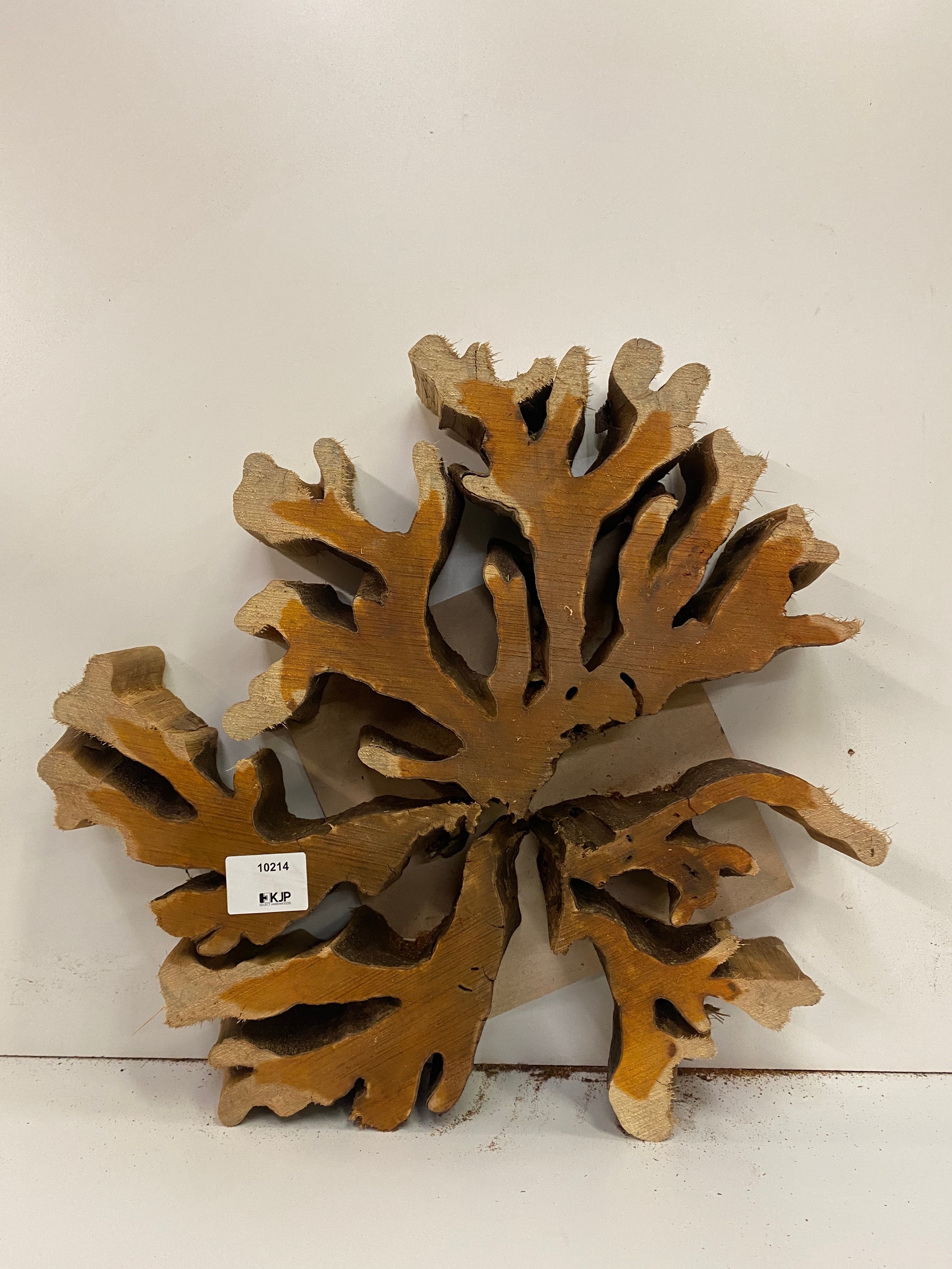 Brasiletta Slice - 3" x 18" x 18"