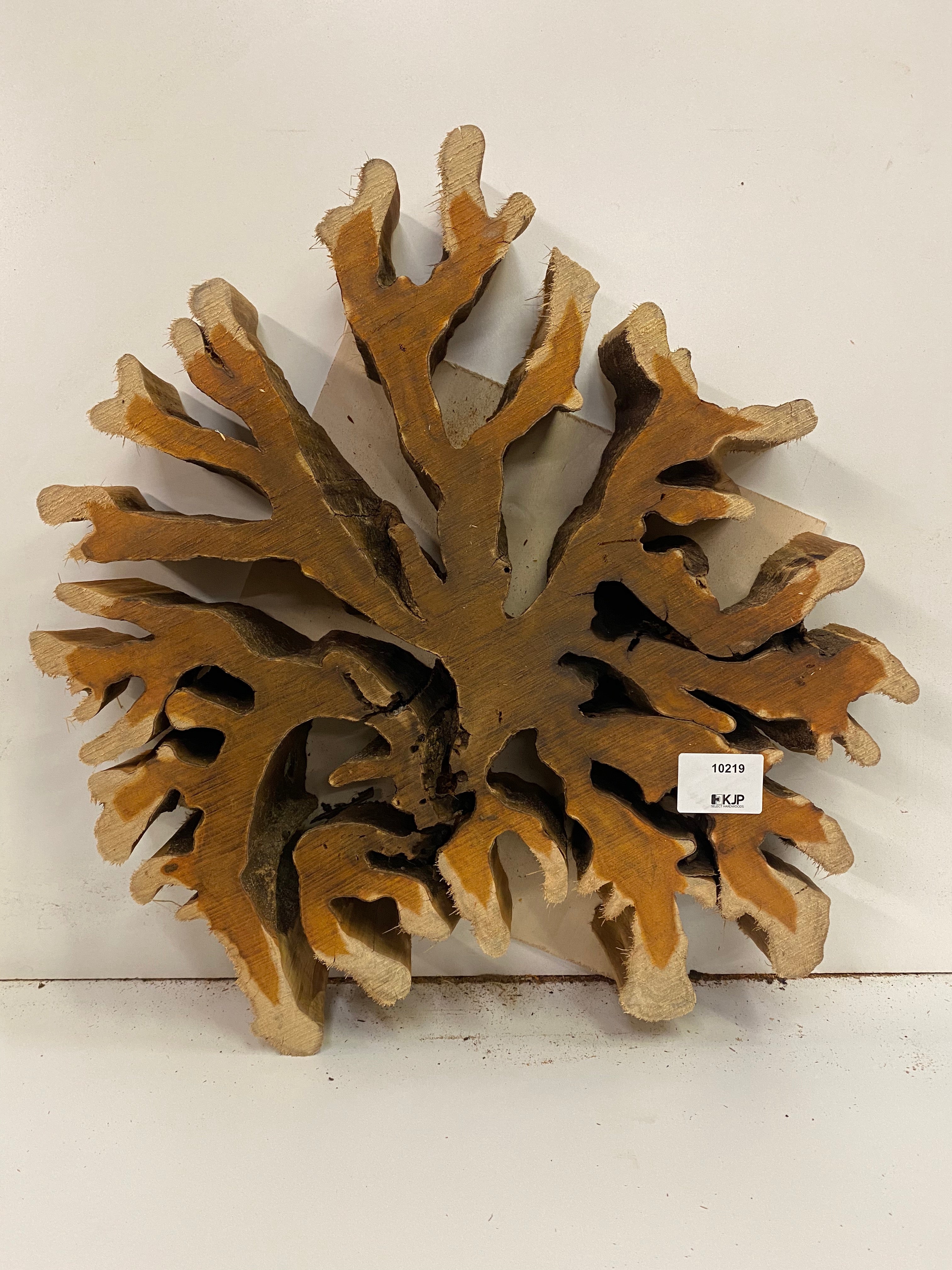 Brasiletta Slice - 3" x 19" x 16.5"