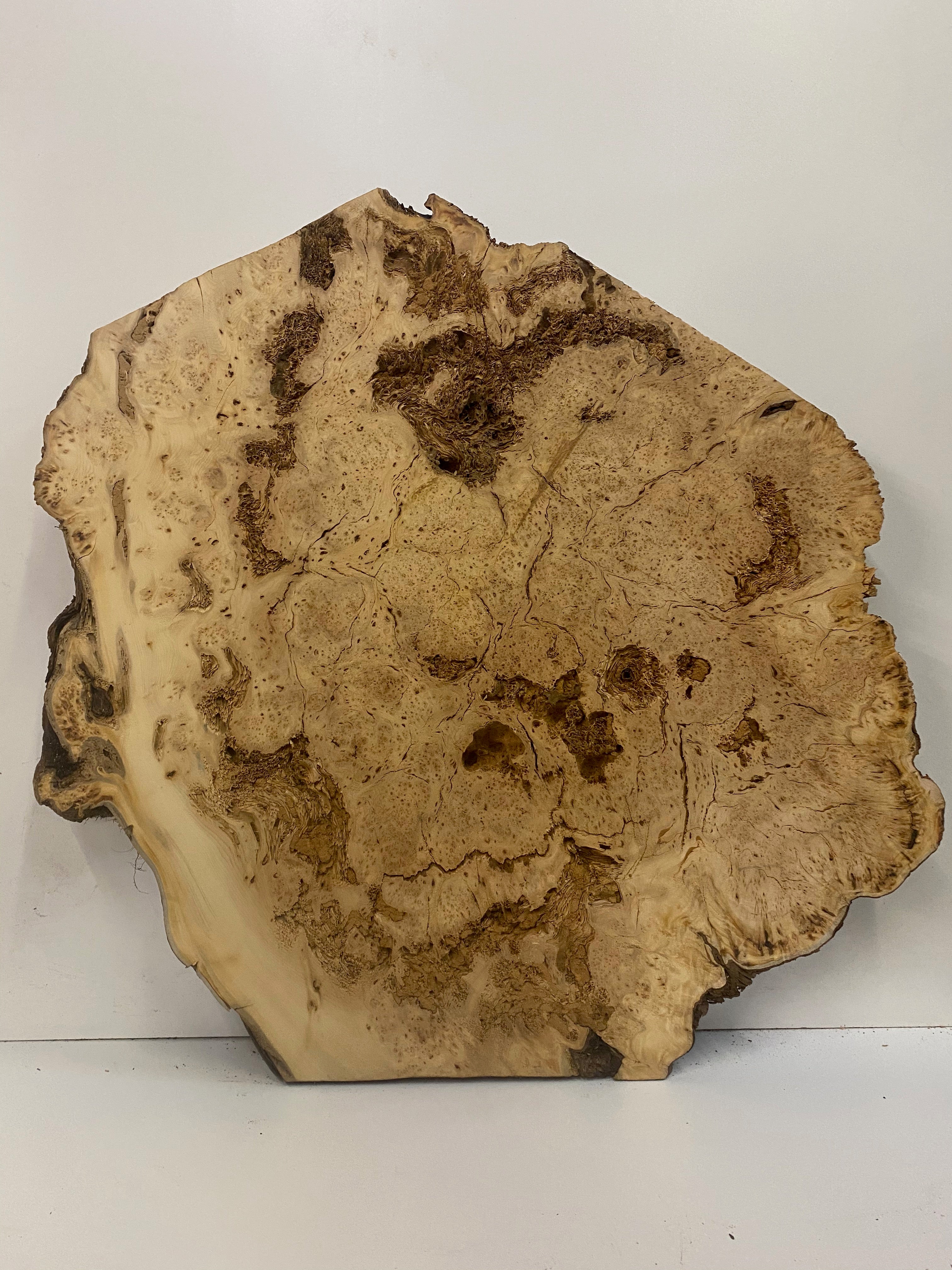 Yellow Cedar Burl - 3-1/2" x 30" x 29"