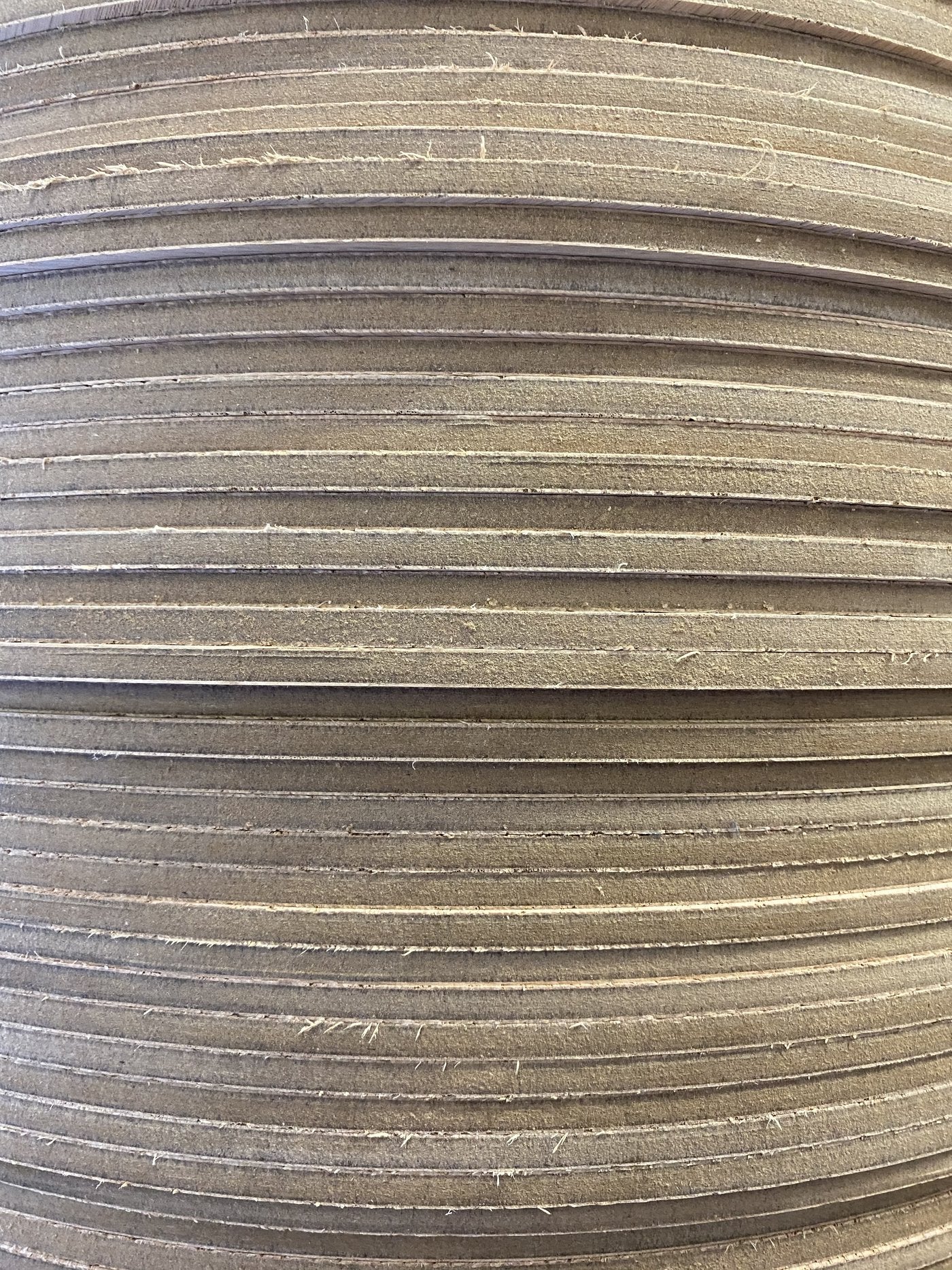 Walnut Circles