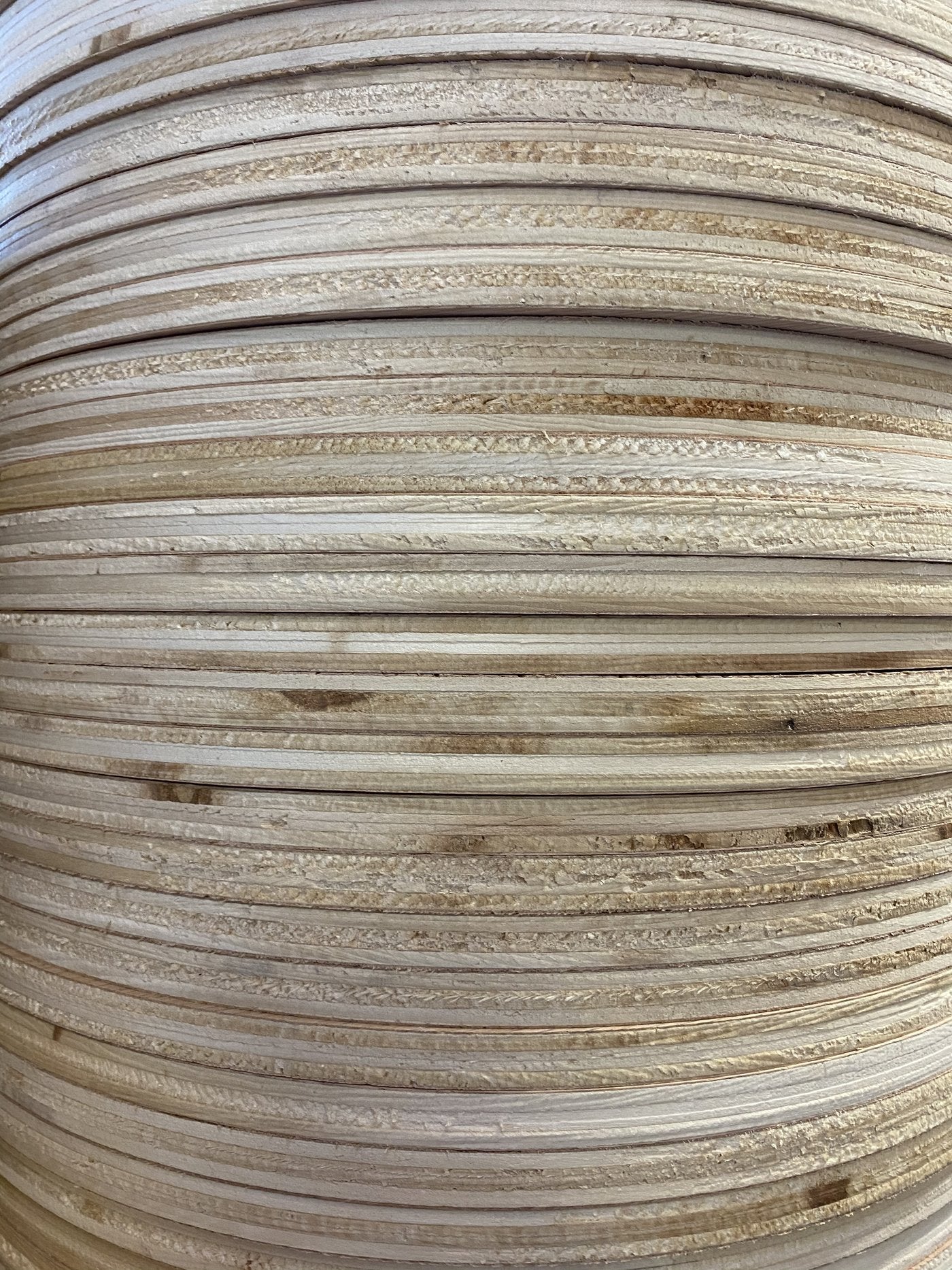 Walnut Circles