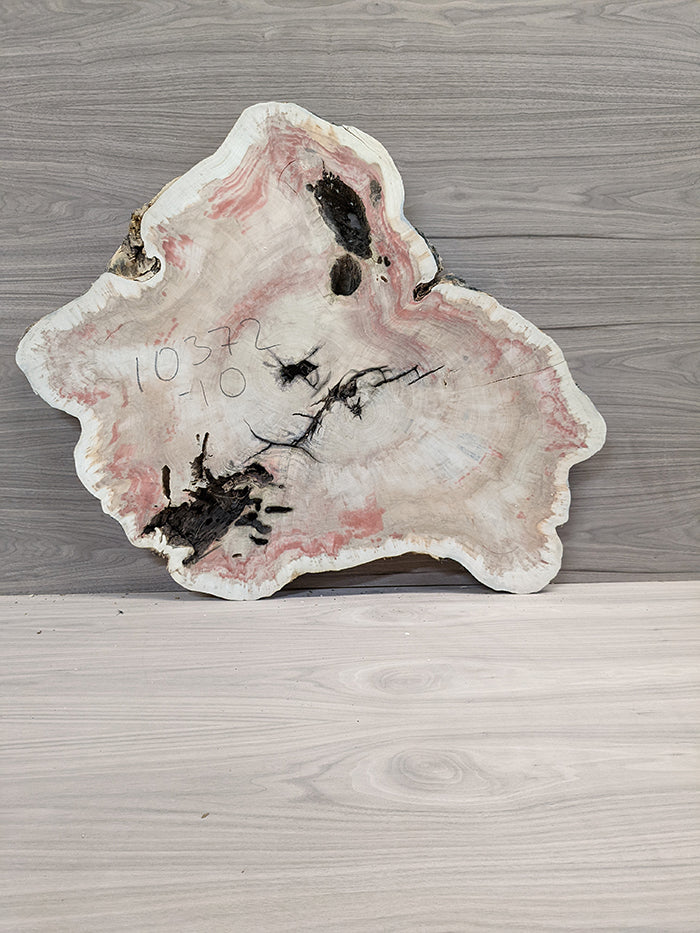 Box Elder Burl - Cross Cut Slab