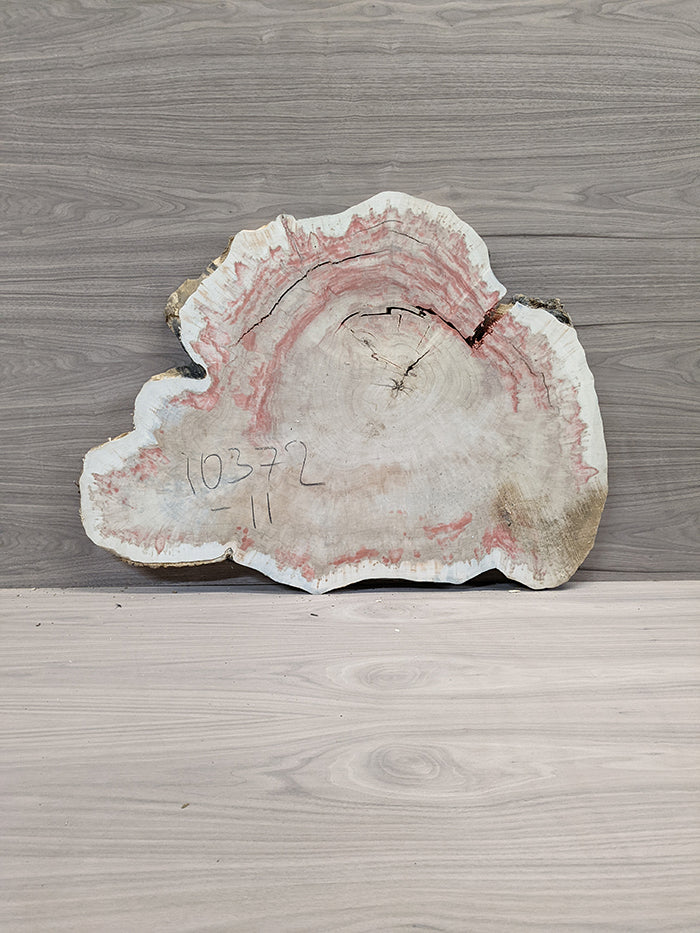 Box Elder Burl - Cross Cut Slab