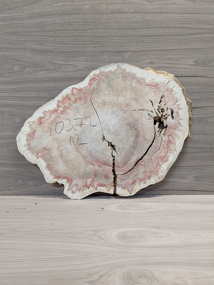 Box Elder Burl - Cross Cut Slab