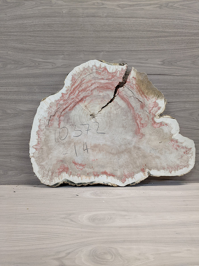 Box Elder Burl - Cross Cut Slab