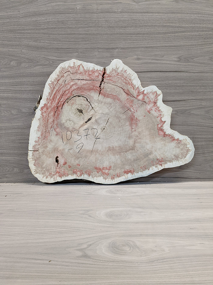 Box Elder Burl - Cross Cut Slab