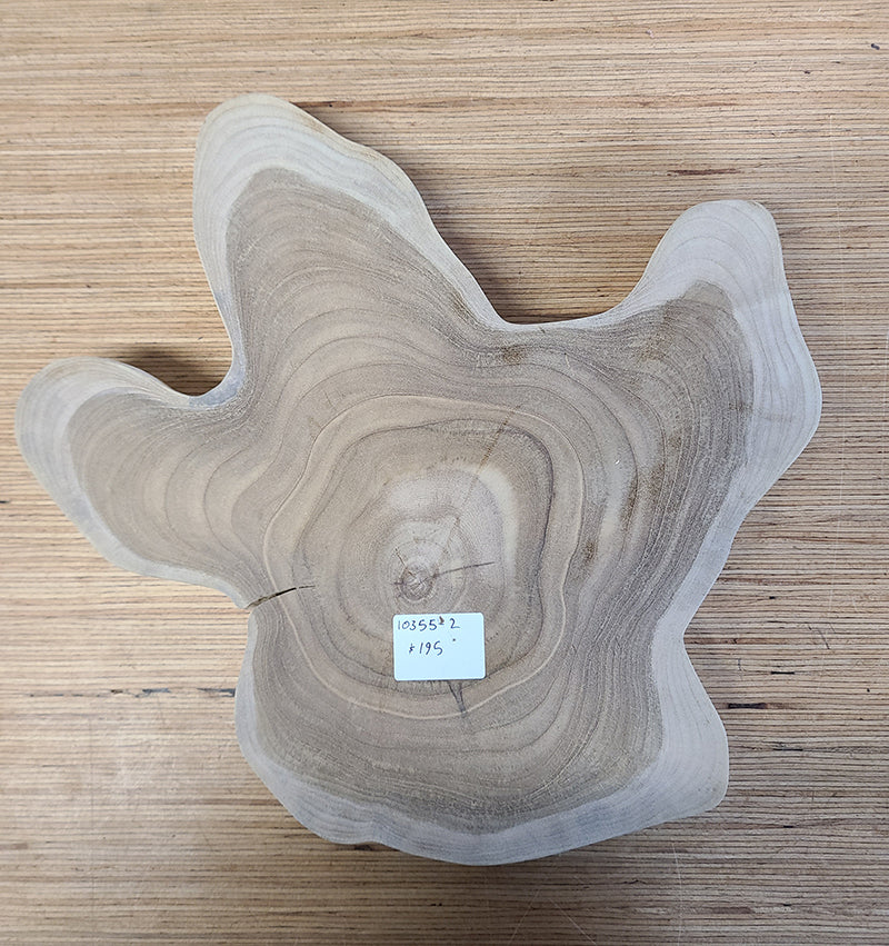 Teak Cross Cut Cookies